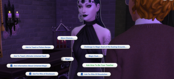 Sims 4 Master Magic ! Magic Schools Made Relevant.