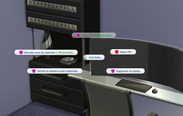 Sims 4 AEP Pgraphy Traduction française Prateon