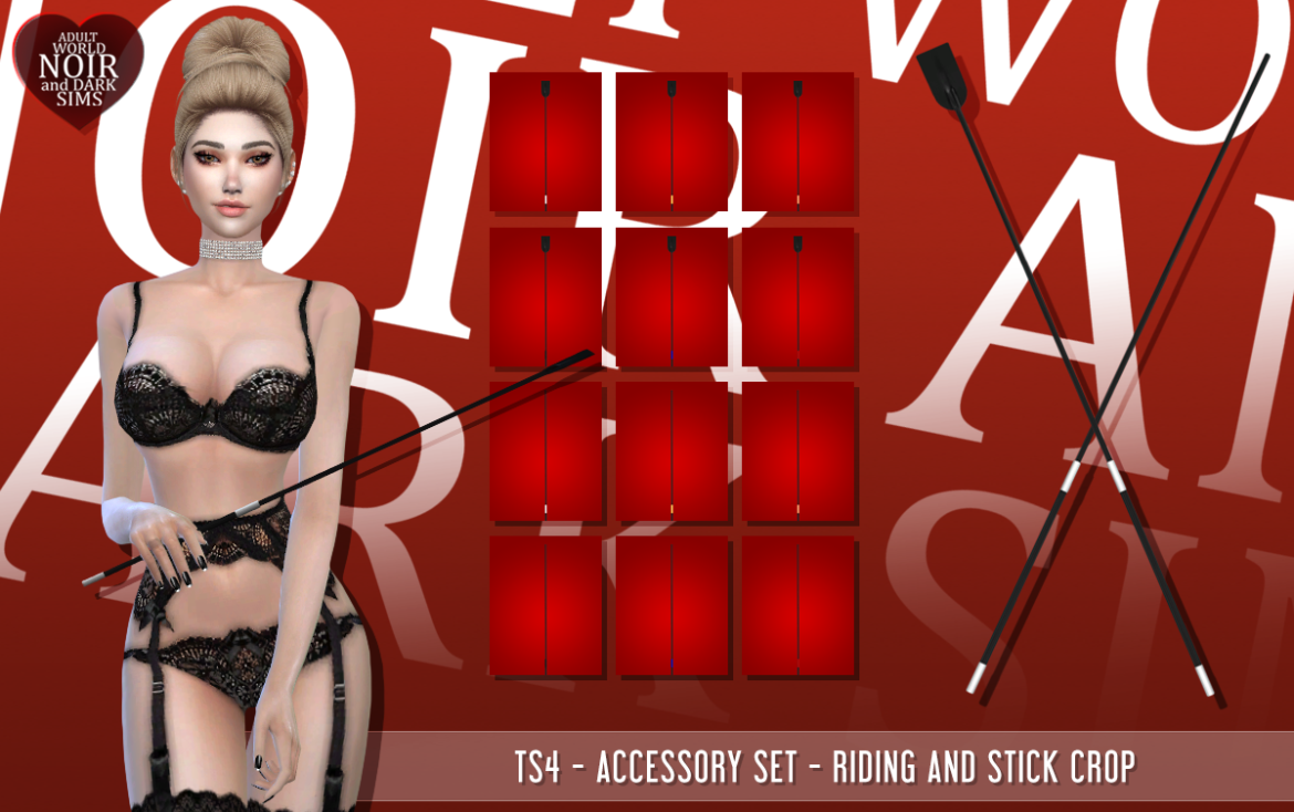 TS4 – Acc Set – Riding and Stick Crop