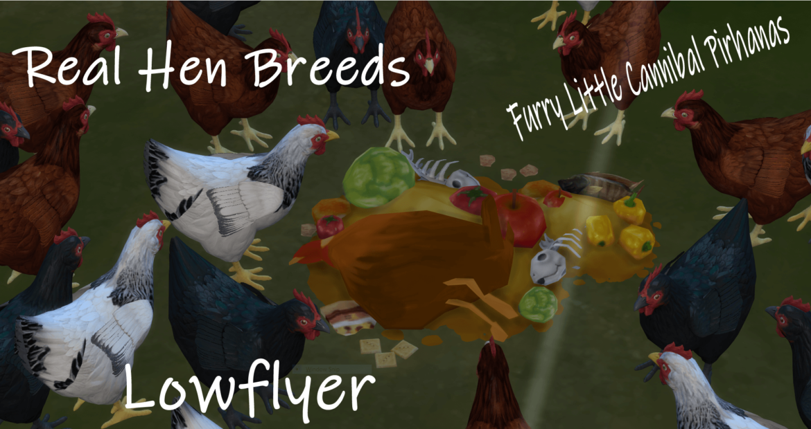Sims 4 Three REAL hen breeds!