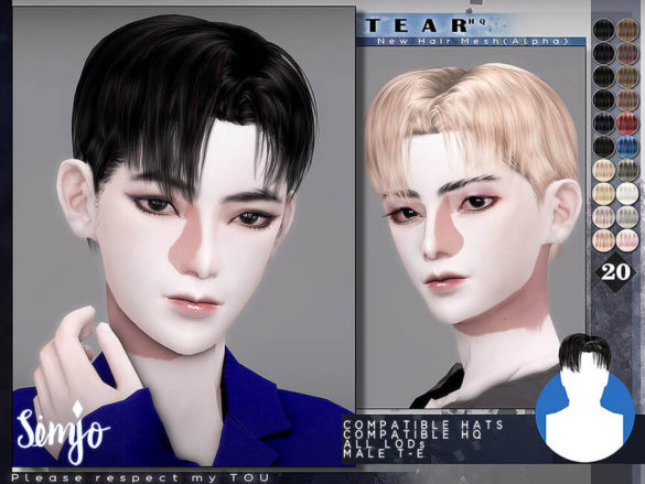 Sims 4 Male Hairstyle Tear by KIMSimjo