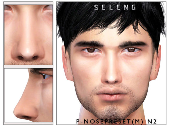 Sims 4 P-Male Nosepreset N2 by Seleng