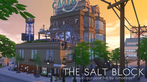 THE SALT BLOCK multi-purpose no cc lot