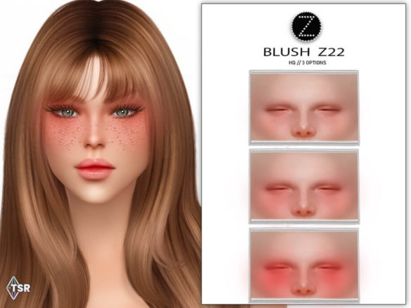 Sims 4 BLUSH Z22 by ZENX
