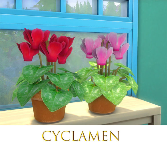 Sims 4 Cyclamen by pocci at Garden Breeze Sims 4