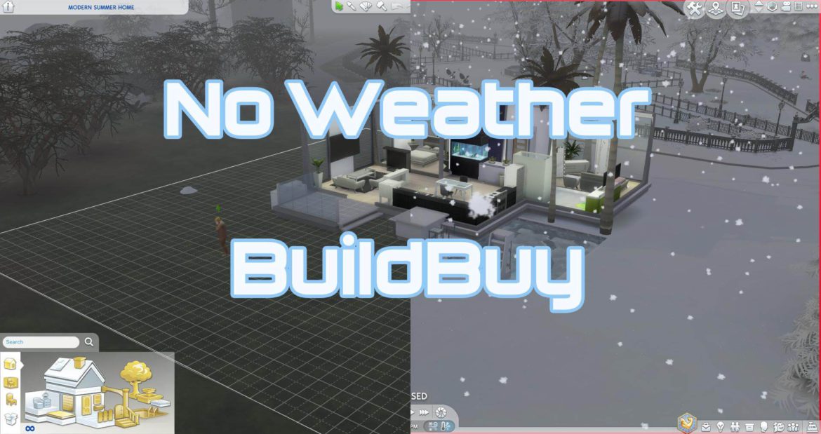 DISABLES WEATHER ELEMENTS WHEN IN BUILDBUY MODE