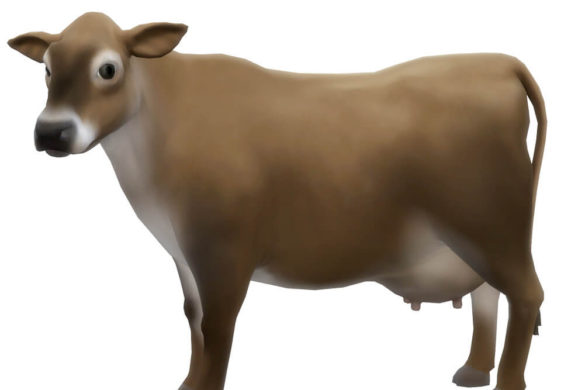 Sims 4 CC Cow Outfit