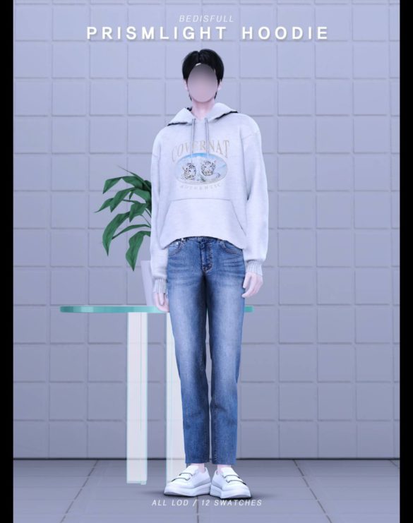 Prismlight hoddie t-shirts at Bedisfull