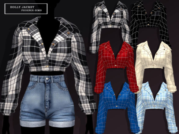 Set including Hairstyles and Jacket at Phoenix-Sims