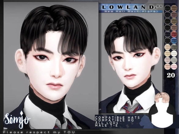 The Sims 4 Male Hair Lowland A by KIMSimjo