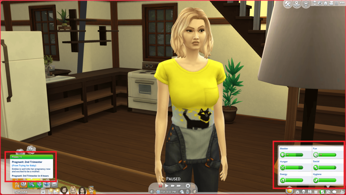 More Manageable Pregnancies the sims 4