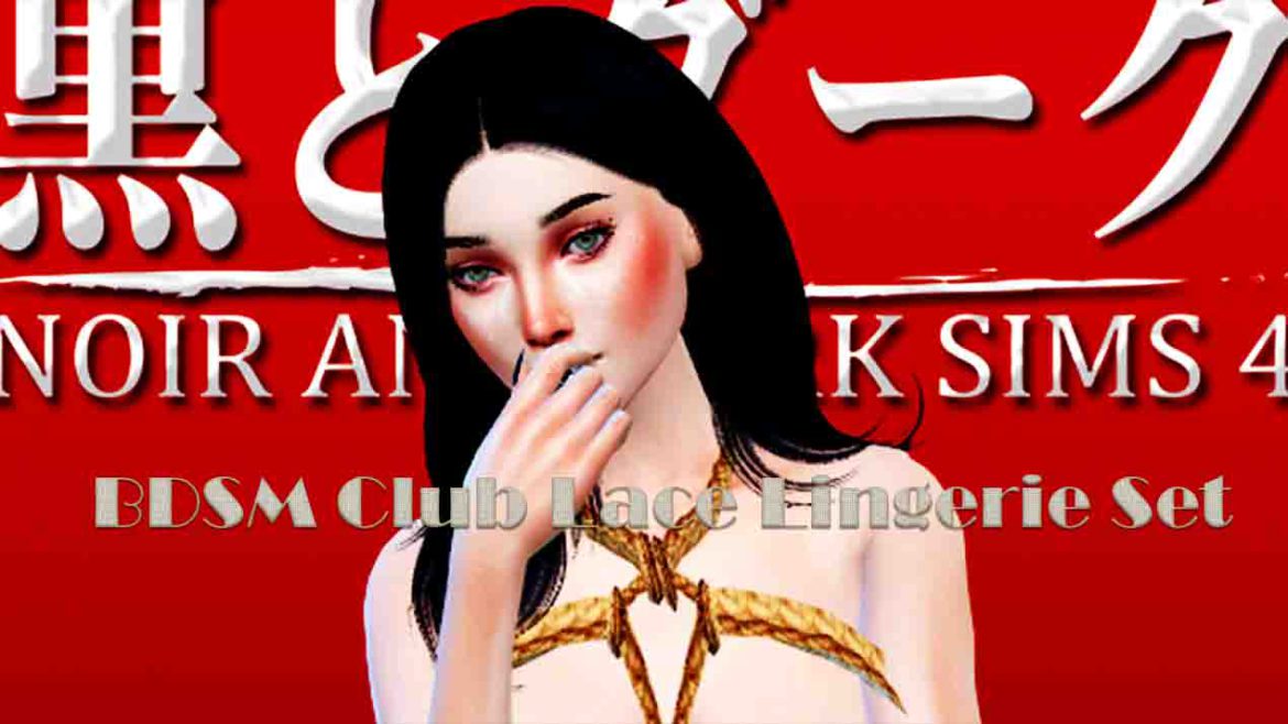 TS4 BDSM Club Lace Lingerie Set