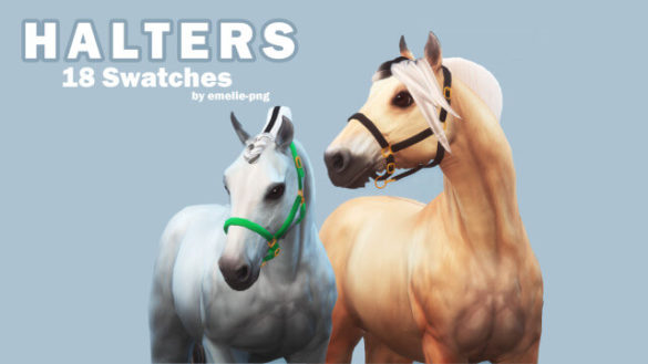 Halters with 18 Swatches